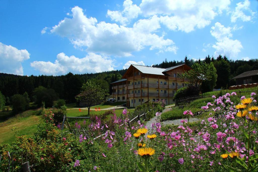Berghotel Mooshuette Lohberg Εξωτερικό φωτογραφία